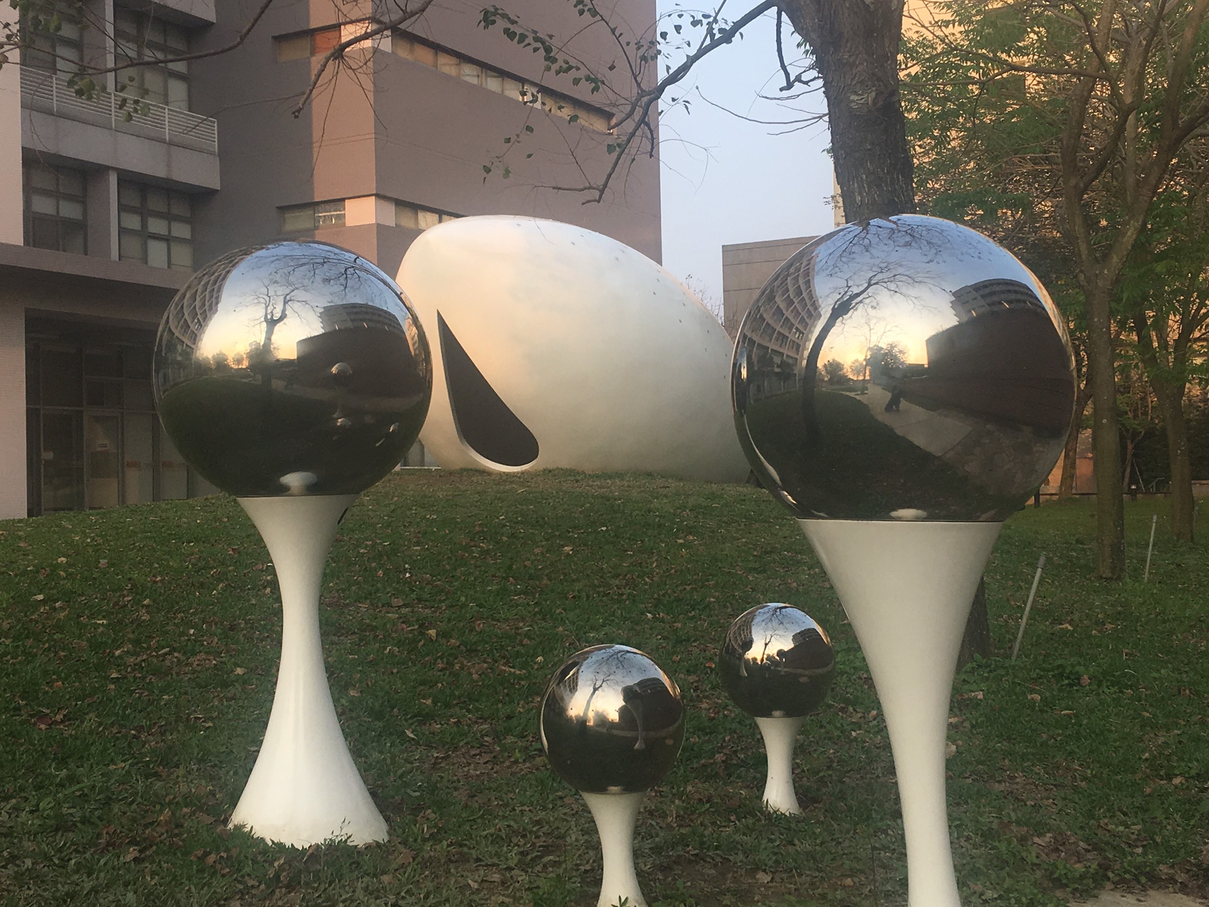 313 達達交通大學小孢子鍍膜處理_190313_0010.jpg